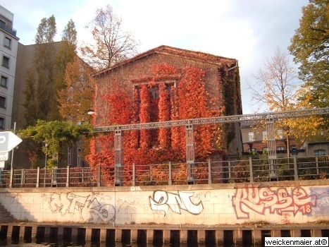 DSCF2299.JPG