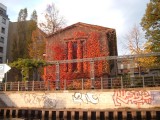 DSCF2299.JPG