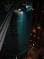 DSCF2319.JPG