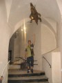 Forchtenstein27.JPG