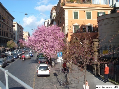 DSCF3040.JPG