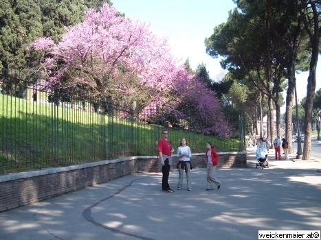 DSCF3073.JPG