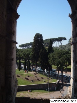 DSCF3093.JPG