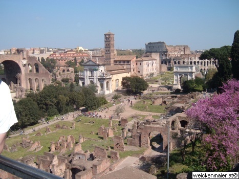 DSCF3109.JPG