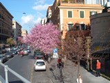 DSCF3040.JPG