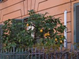 DSCF3058.JPG