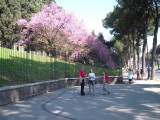 DSCF3073.JPG