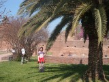 DSCF3104.JPG